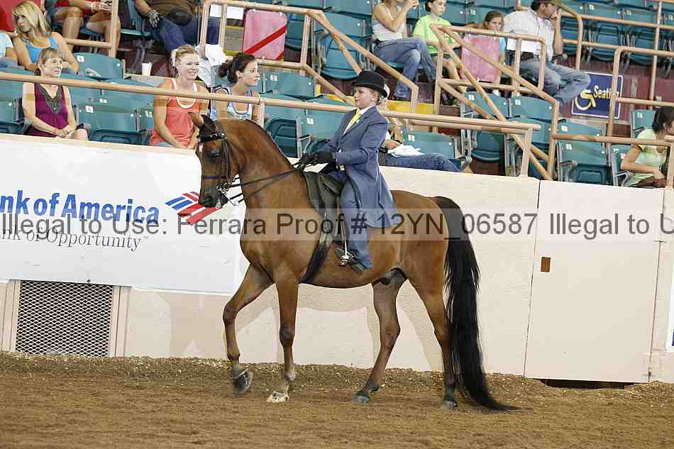Proof 12yn_06587