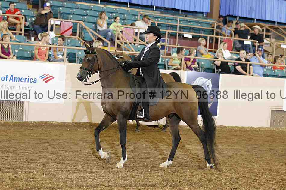 Proof 12yn_06588
