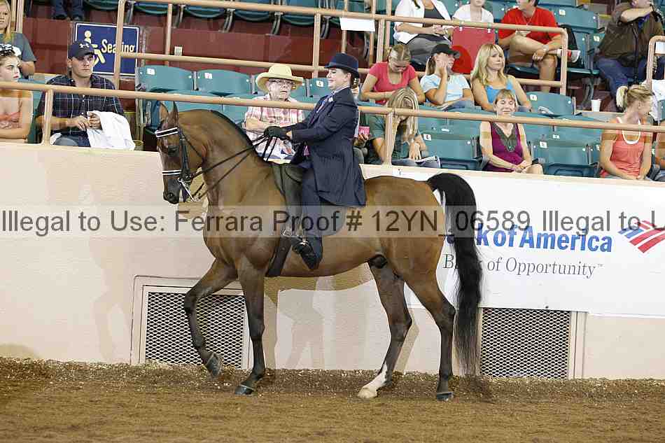 Proof 12yn_06589