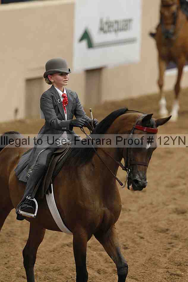Proof 12yn_06590
