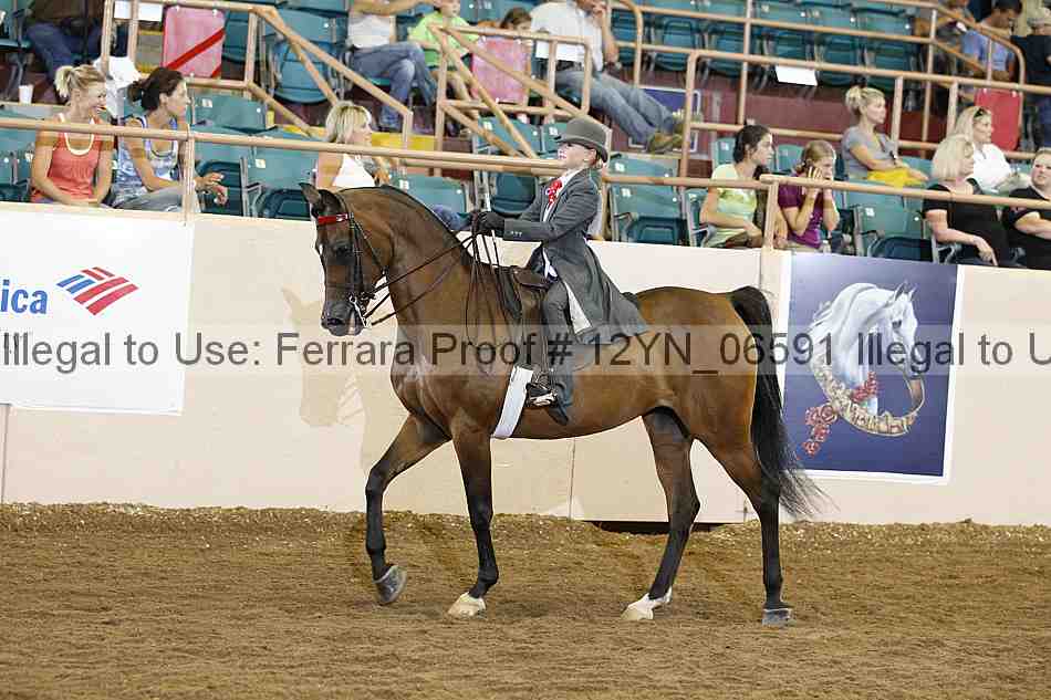 Proof 12yn_06591