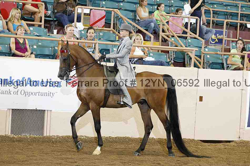 Proof 12yn_06592