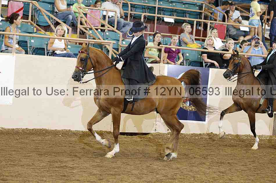 Proof 12yn_06593