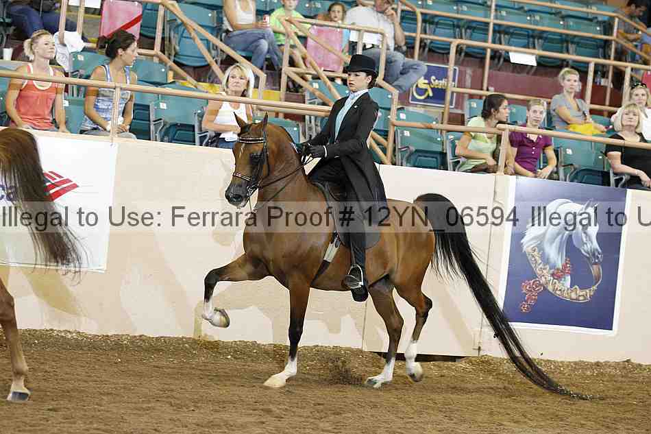 Proof 12yn_06594