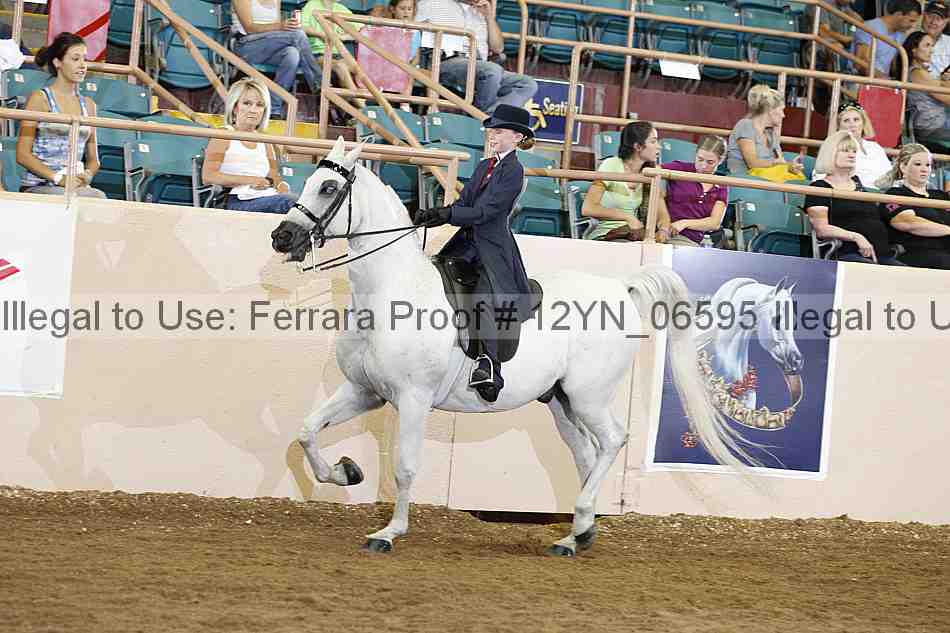 Proof 12yn_06595
