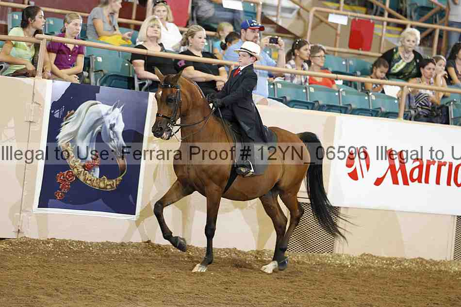 Proof 12yn_06596
