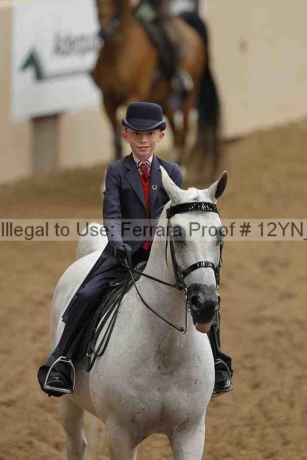 Proof 12yn_06597
