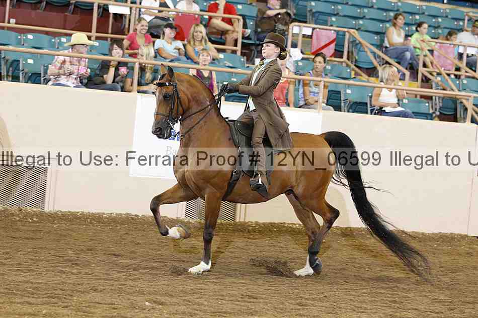 Proof 12yn_06599