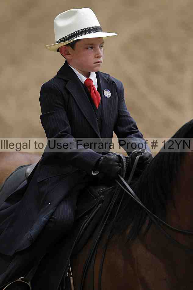 Proof 12yn_06601