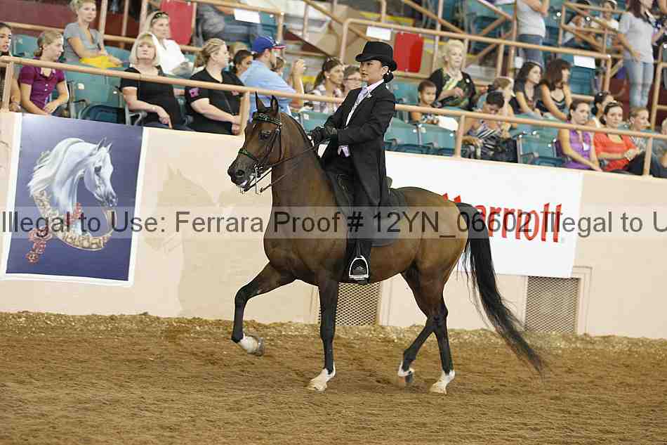 Proof 12yn_06602