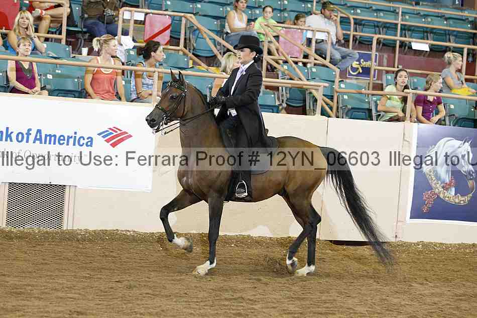 Proof 12yn_06603
