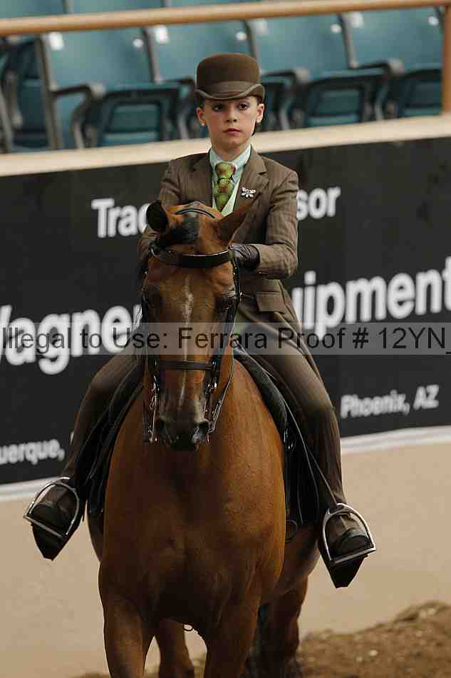 Proof 12yn_06604