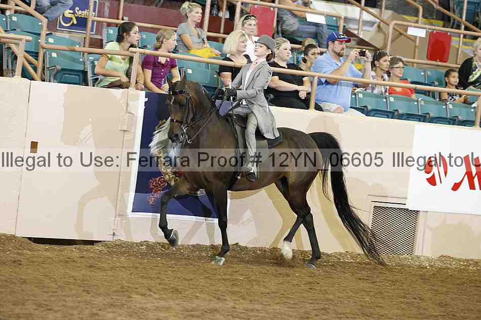 Proof 12yn_06605