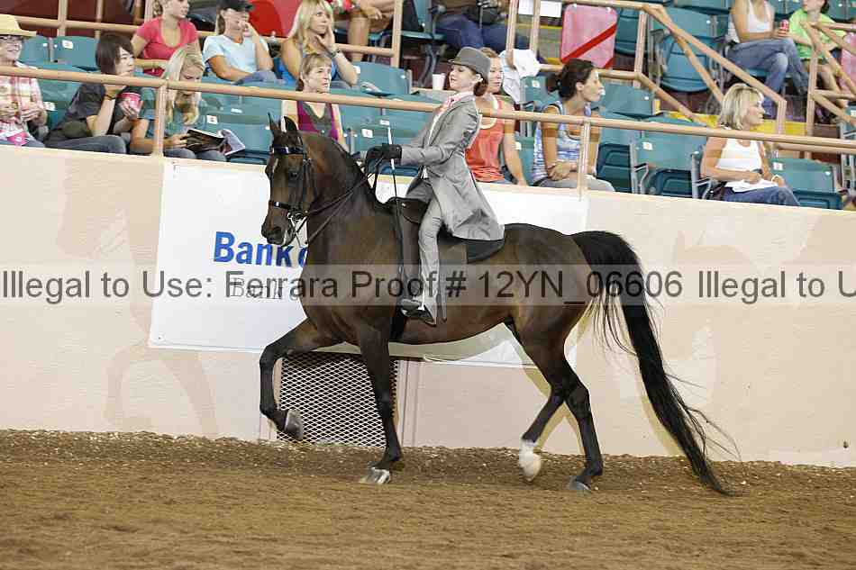 Proof 12yn_06606
