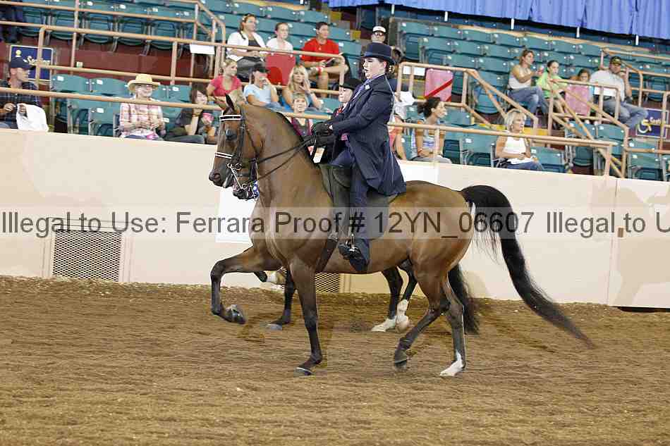 Proof 12yn_06607