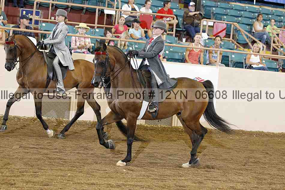 Proof 12yn_06608