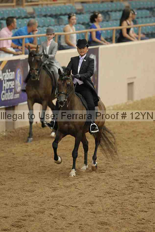 Proof 12yn_06609