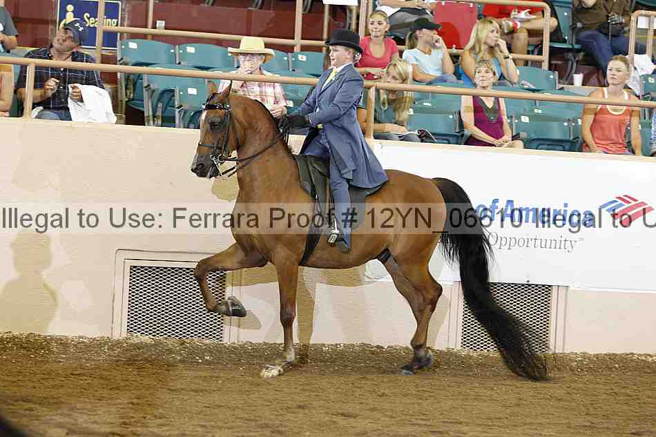 Proof 12yn_06610