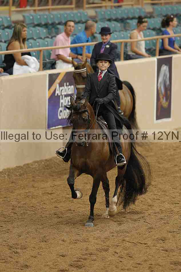 Proof 12yn_06611
