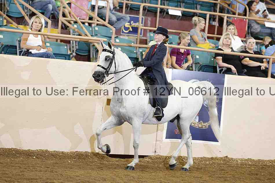 Proof 12yn_06612