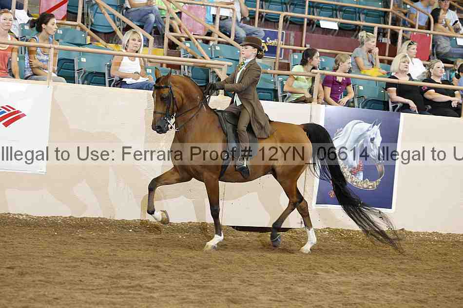 Proof 12yn_06614
