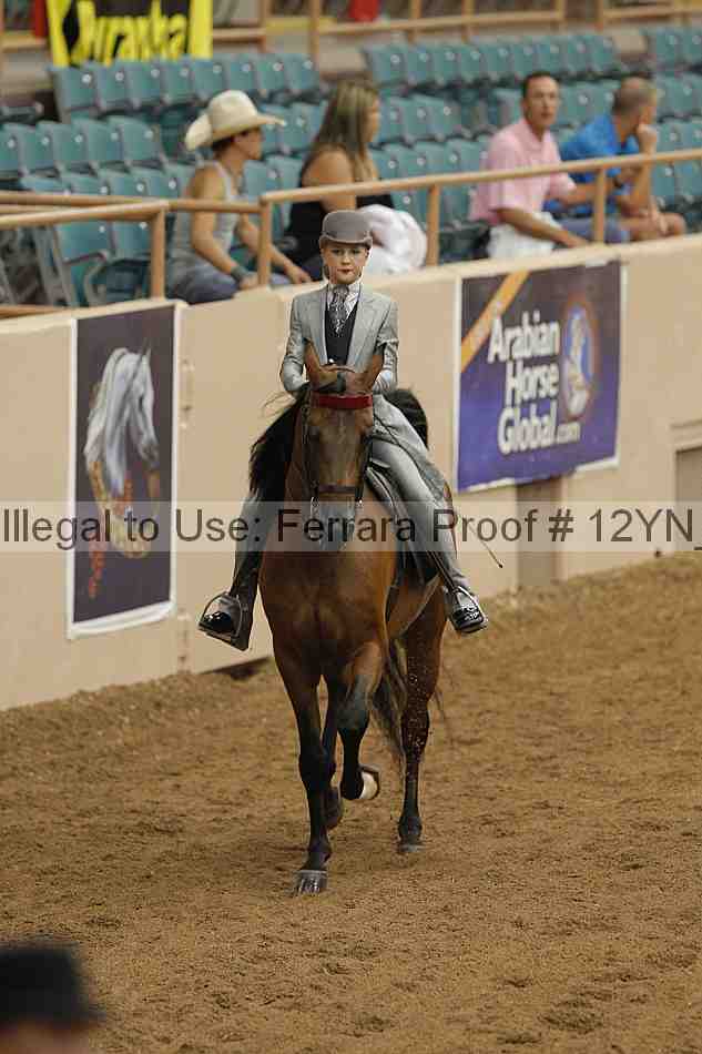Proof 12yn_06615