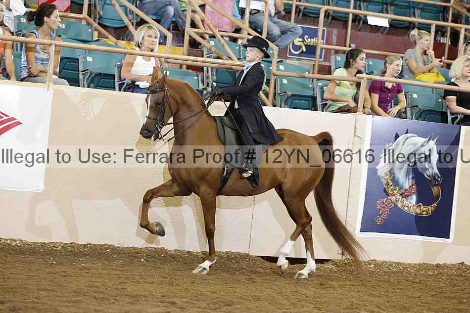 Proof 12yn_06616