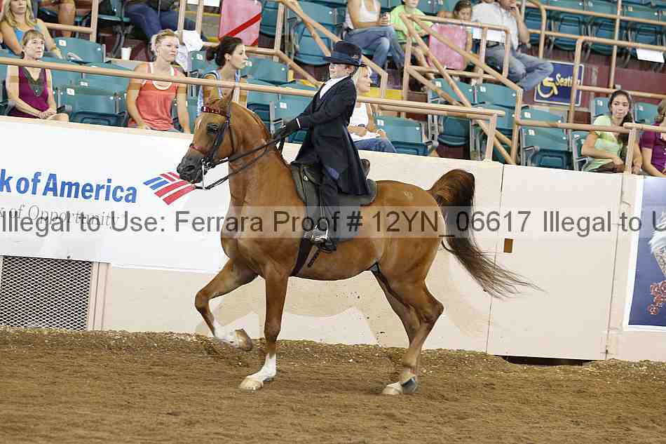 Proof 12yn_06617
