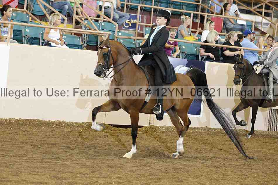 Proof 12yn_06621