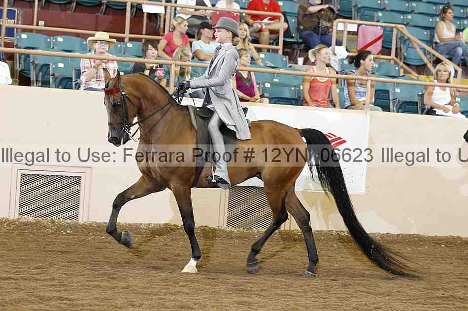 Proof 12yn_06623