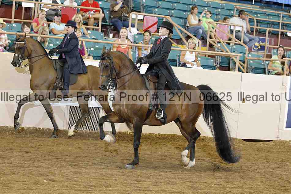 Proof 12yn_06625