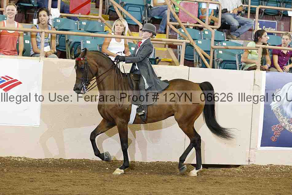 Proof 12yn_06626