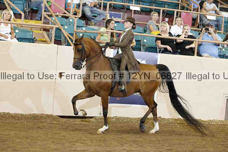 Proof 12yn_06627