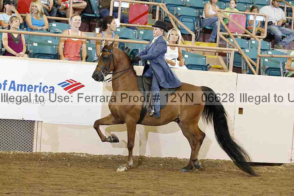 Proof 12yn_06628