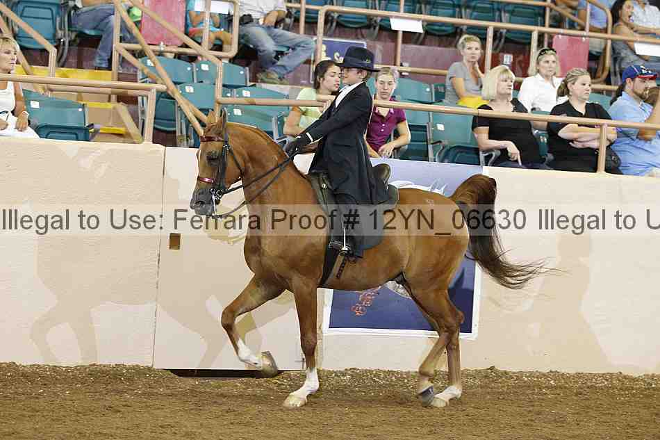 Proof 12yn_06630