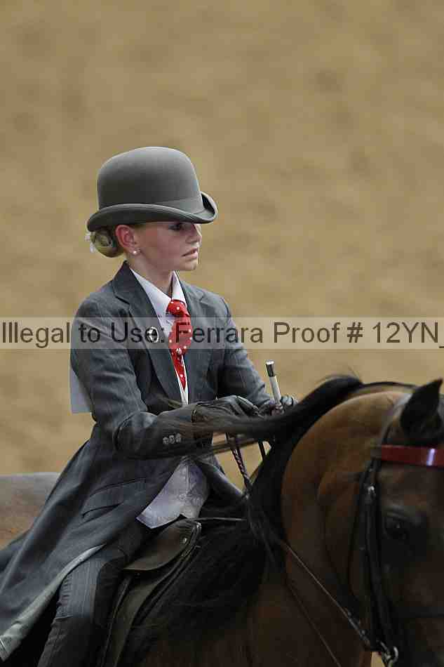 Proof 12yn_06631