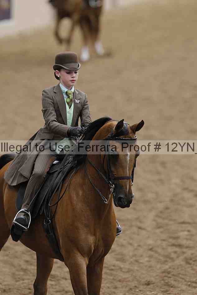 Proof 12yn_06633