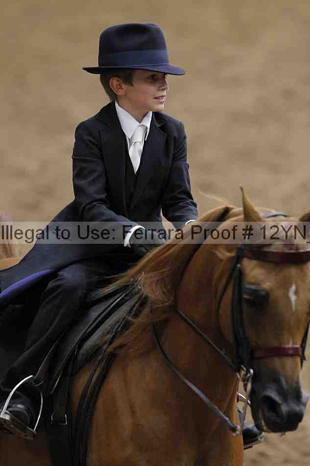 Proof 12yn_06634