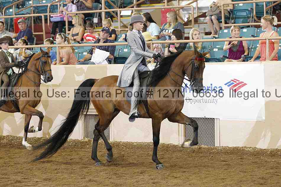 Proof 12yn_06636