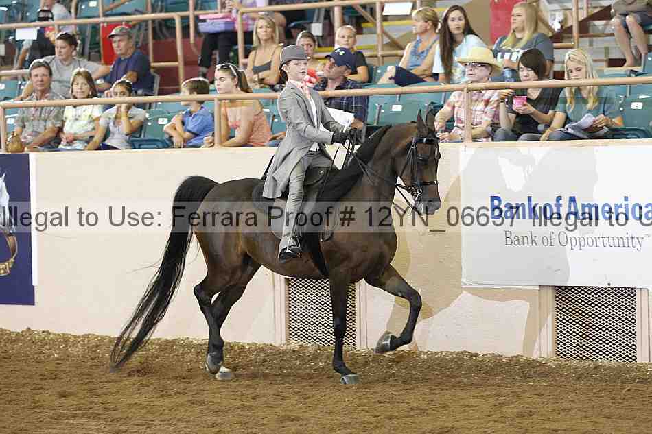 Proof 12yn_06637