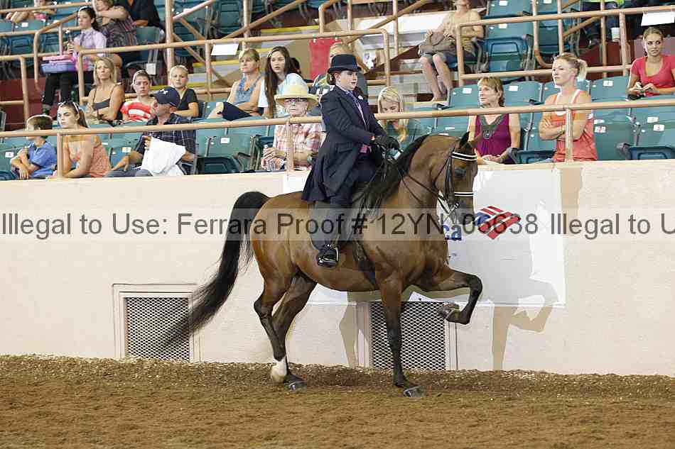 Proof 12yn_06638