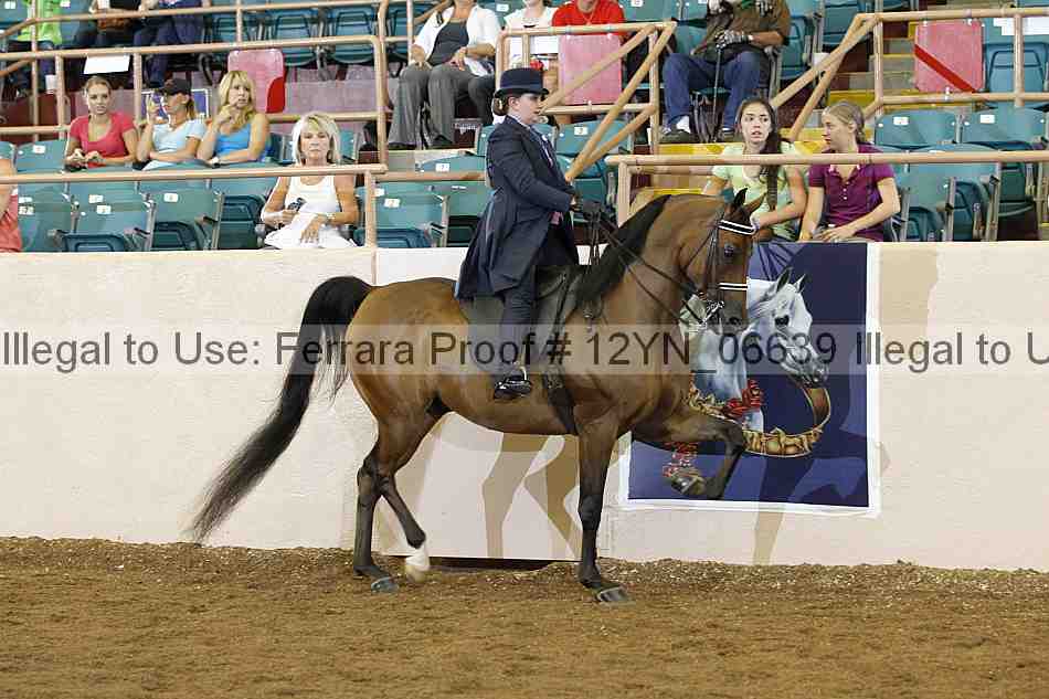 Proof 12yn_06639