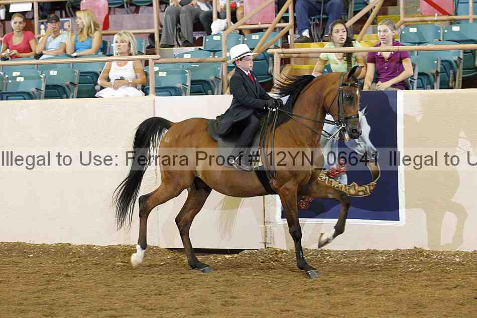 Proof 12yn_06641