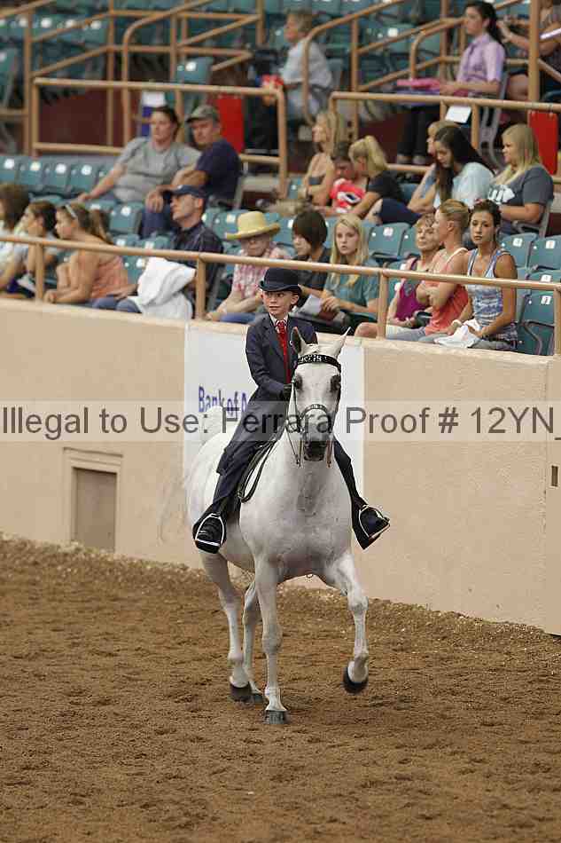 Proof 12yn_06642