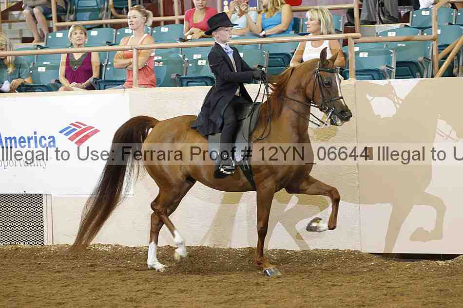 Proof 12yn_06644