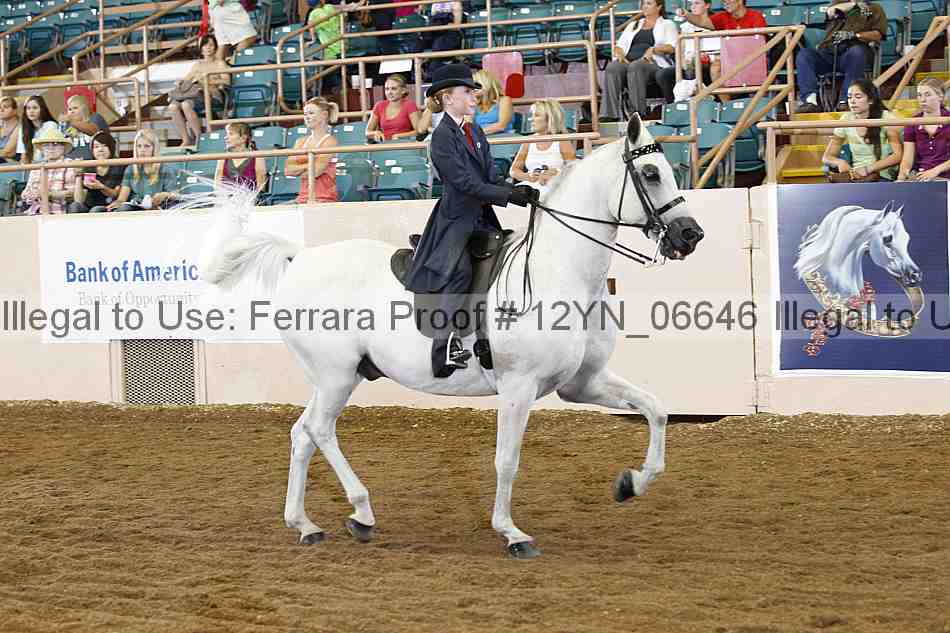 Proof 12yn_06646