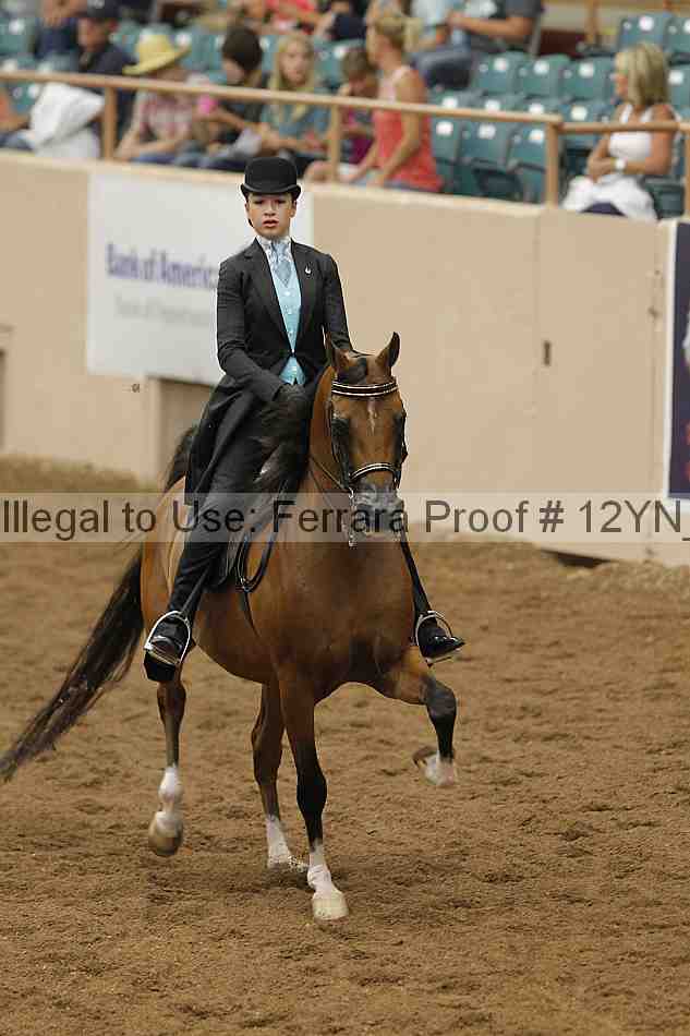 Proof 12yn_06647