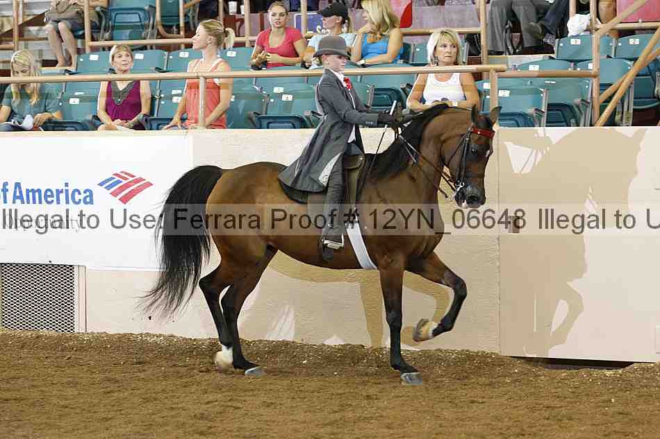 Proof 12yn_06648