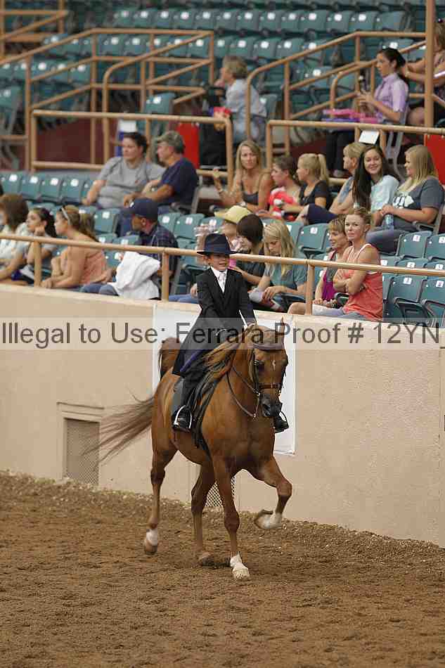 Proof 12yn_06651
