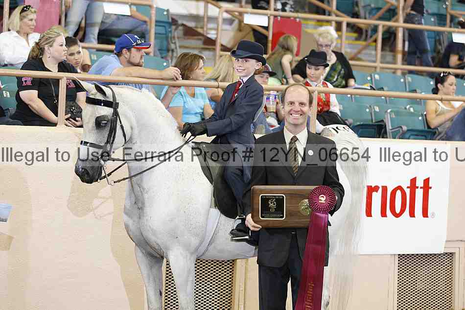 Proof 12yn_06654